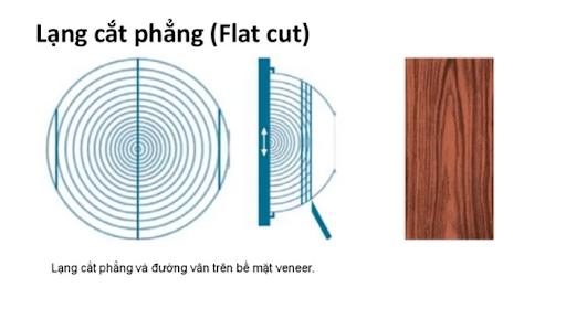 Go-veneer-5-1