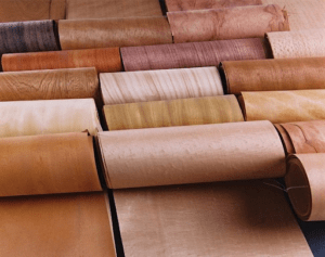 Veneer-1