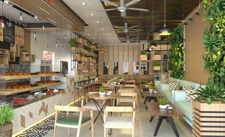 cây phong thủy tại cửa hàng