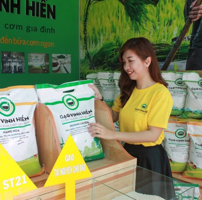 hpdecor.vn-thiết kế cửa hàng gạo
