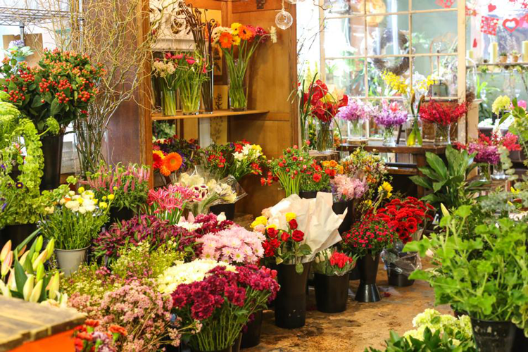 Thiet Ke Cua Hang Hoa Tuoi Nho (3)