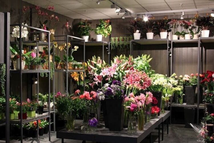 hpdecor.vn-thiết kế shop hoa tươi nhỏ