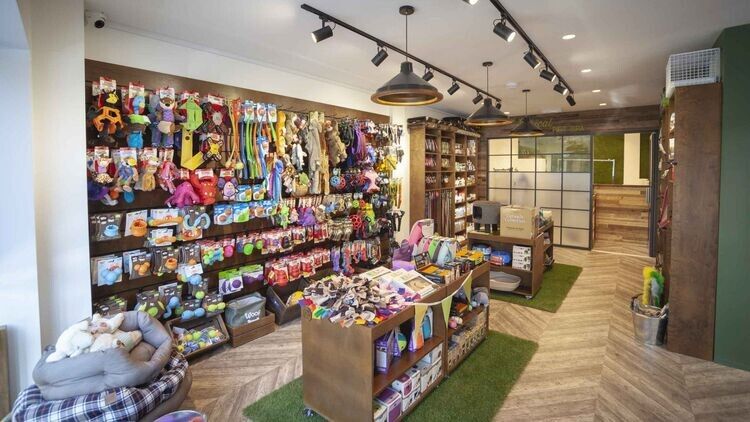 Thiet Ke Pet Shop (4)