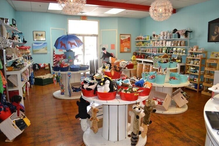 Thiet Ke Pet Shop (6)