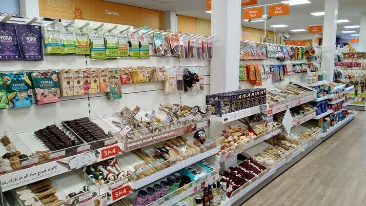Thiet Ke Pet Shop (8)