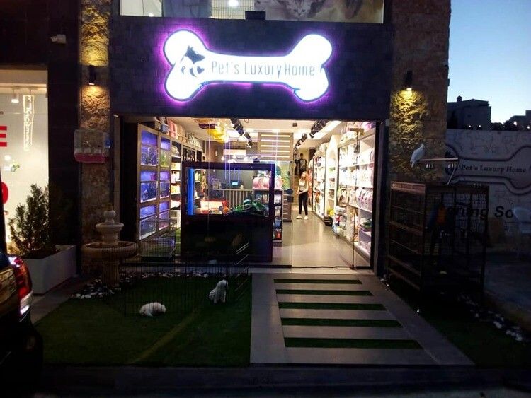 Thiet Ke Pet Shop Dep (2)