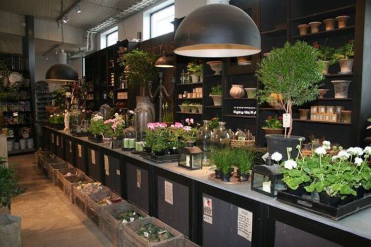Thiet Ke Shop Hoa Tuoi (6)