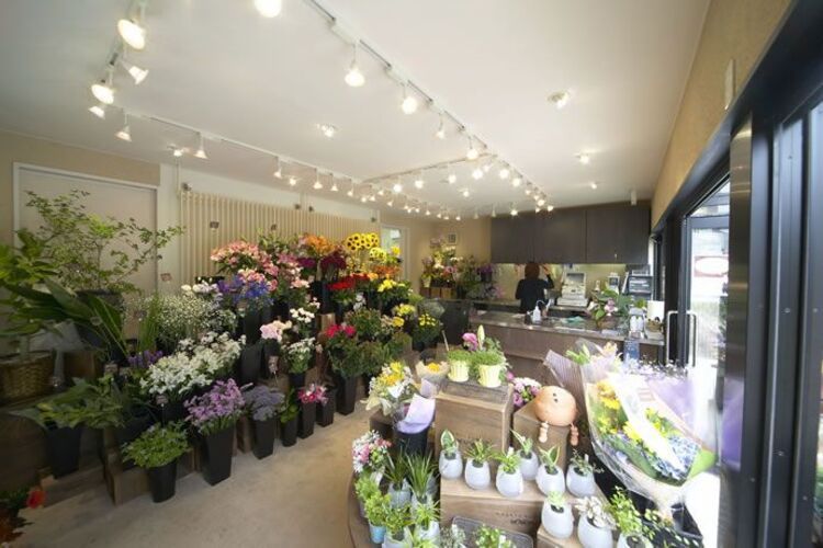 hpdecor.vn-thiết kế shop hoa tươi nhỏ