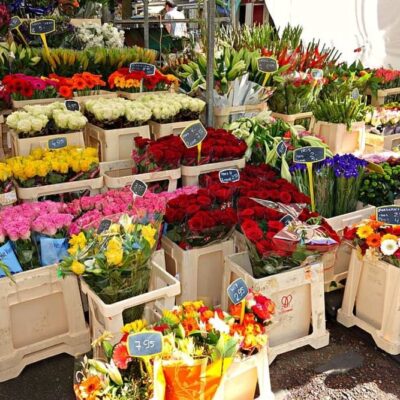 Thiet Ke Shop Hoa Tuoi Nho (15)