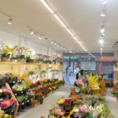Thiet Ke Shop Hoa Tuoi Nho (9)
