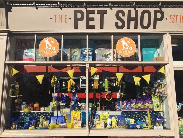 Thiet Ke Shop Thu Cung (3)