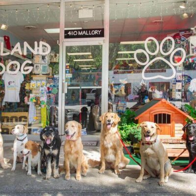 hpdecor.vn-thiết kế pet shop