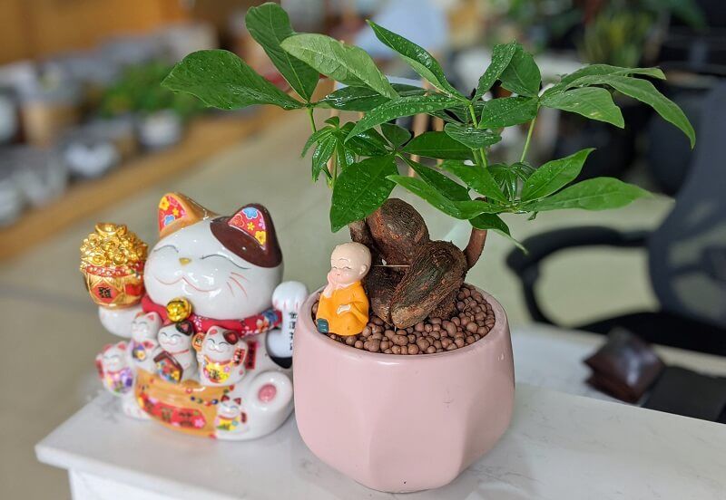 hpdecor.vn-phong thủy bán hàng online