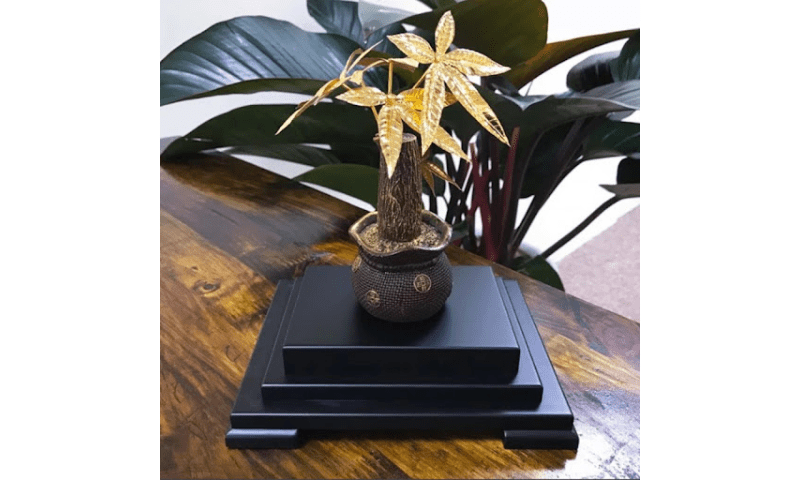 hpdecor.vn-cách chiêu tài lộc cho cửa hàng