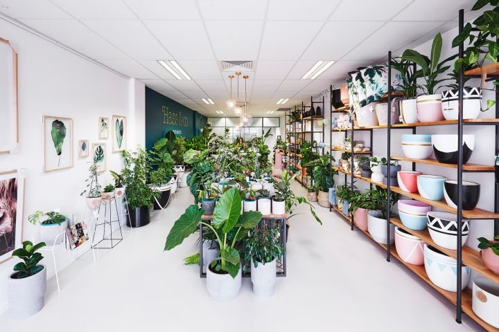 Ke Trung Bay Cay Canh 13