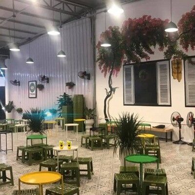 Trang Trí Quán Trà Chanh Bằng Cây Xanh Tự Nhiên